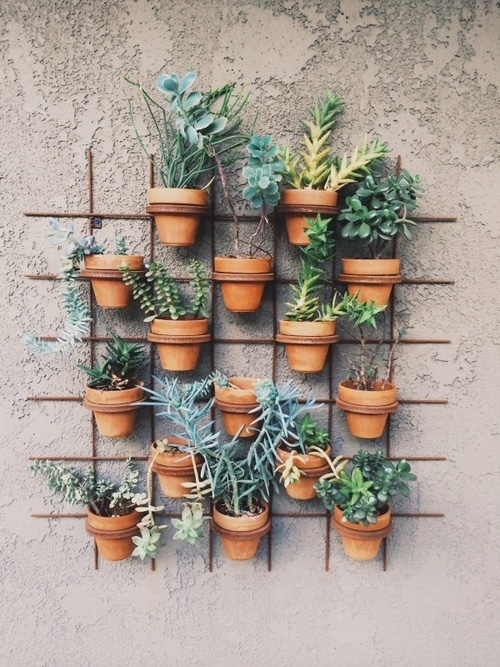Living Garden Wall of Terra Cotta Pots | Happy Mundane Photography | See More! http://heyweddinglady.com/natural-earthy-wedding-inspiration-in-terra-cotta-gold-green/