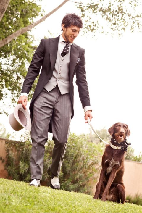 Traditional #Suit and Tails for the #Groom with a Dapper Dog! | Rosapaola Lucibelli Photography | See More! https://heyweddinglady.com/italian-chic-spring-styled-wedding-from-rosapaola-lucibelli/