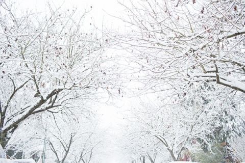 Winter Queen - Snowy Bridal Portraits by Angela Hubbard Photography ...