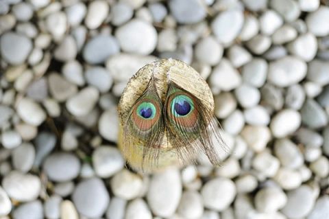 Peacock Feather Wedding Earrings! | Tonie Christine Photography | See More! https://heyweddinglady.com/fresh-and-chic-modern-rustic-washington-wedding/
