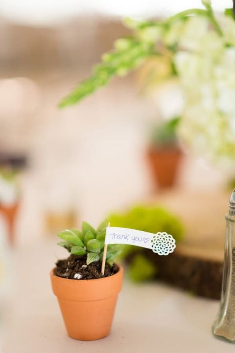Succulent Escort Cards with Laser Cut Thank You Notes | Kirsten Smith Photography | English Inspired Country Club Wedding in Purple and White