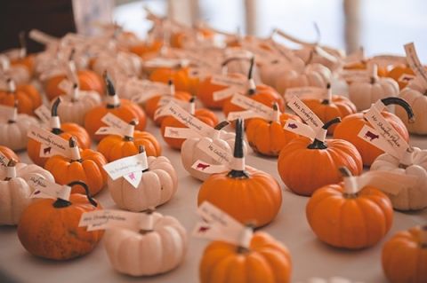 A Pumpkin Patch Escort Card Display | Bit of Ivory Photography | Traditional Autumn Wedding in Eggplant and Orange