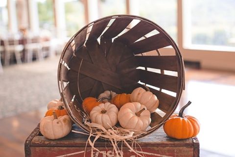Fall Harvest Pumpkin Wedding Decor | Bit of Ivory Photography | Traditional Autumn Wedding in Eggplant and Orange