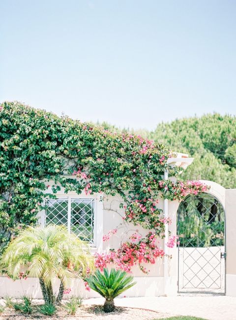 Bougainvillea Growing on the Villa | Brancoprata | Stylish White and Silver Destination Wedding in Portugal