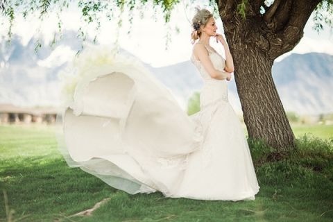 Breathtaking Wedding Dress Shot | Megan Robinson Photography and Leslie Dawn Events | Pearls and Roses - Vintage French Glam Wedding Portraits