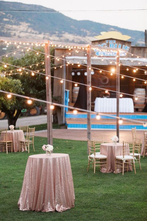 Sparkling Blush and Champagne Wedding in an Apple Orchard - Hey Wedding ...