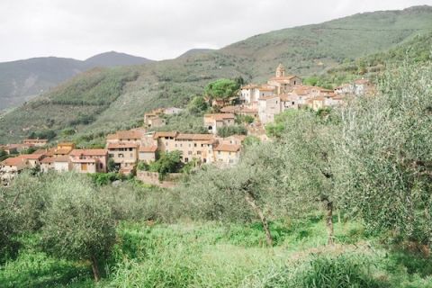 Village in the Italian Countryside | Alexis Rose Photography | https://heyweddinglady.com/fine-art-italy-tuscan-destination-wedding-olive-grove/