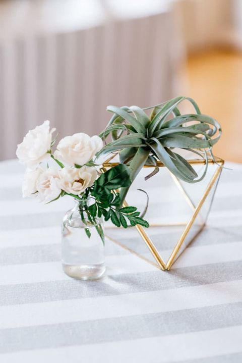 Bud Vases, Air Plants, and Modern Geometric Table Decor