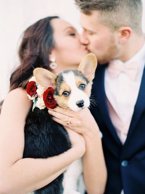 The Cutest Corgi Puppy at a Vintage Romance Wedding