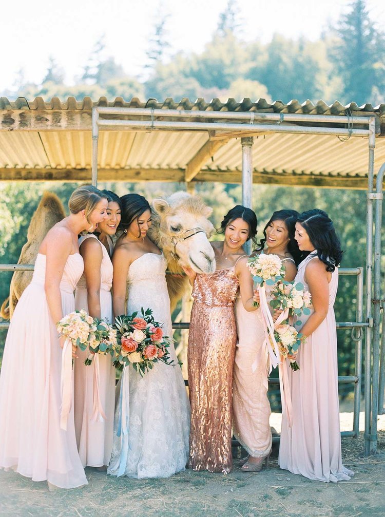 5 Sequin Bridesmaid Dresses for any Wedding - Hey Wedding Lady