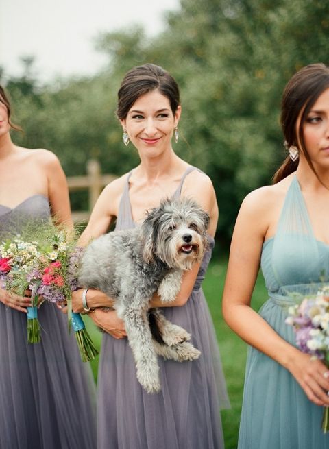 Bridesmaid Carrying the Bride's Dog