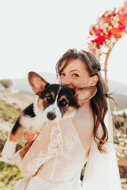 The Bride and her Best Corgi