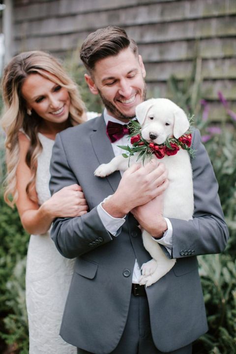 Christmas Puppies Bring Joy to this New England Winter Wedding Shoot ...