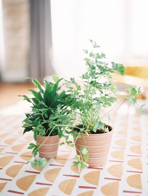 Farmer's Market Wedding Ideas with Potted Herb Centerpieces